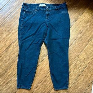 Torrid Super Stretch Jeggings, 24